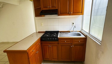 PASEOS DE LA CONFIANZA II  70 7.jpg